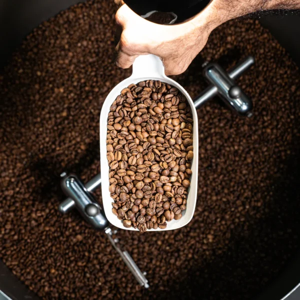 ETHIOPIA SIDAMA GR. 2 WASHED - Green Coffee Beans